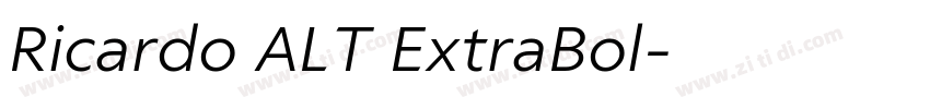 Ricardo ALT ExtraBol字体转换